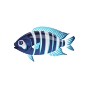 Striped Monocle Fish